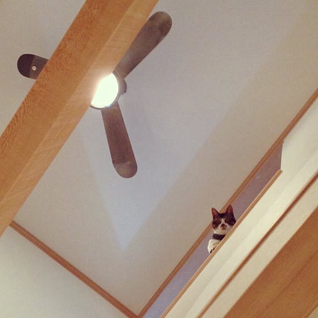 waronyagoさんの実例写真