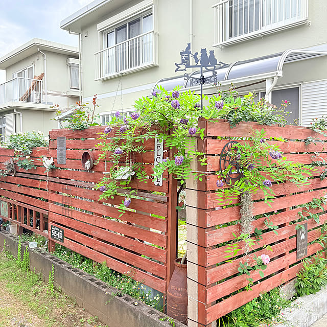 mayumiさんの部屋