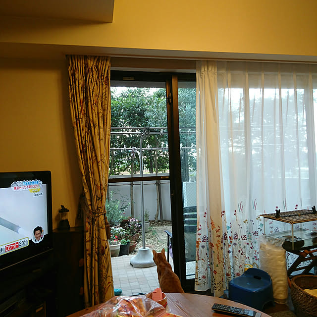 okyosan101さんの実例写真