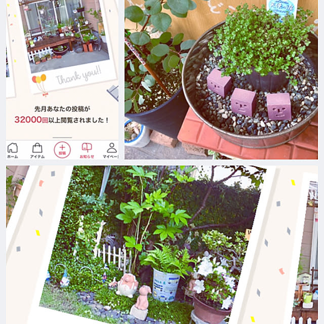 takakoさんの実例写真