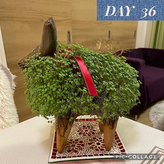 aureaさんの実例写真