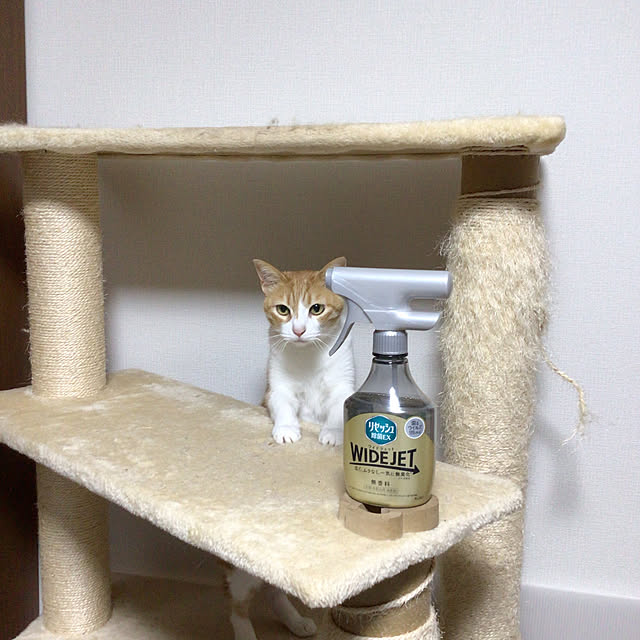 houenさんの実例写真