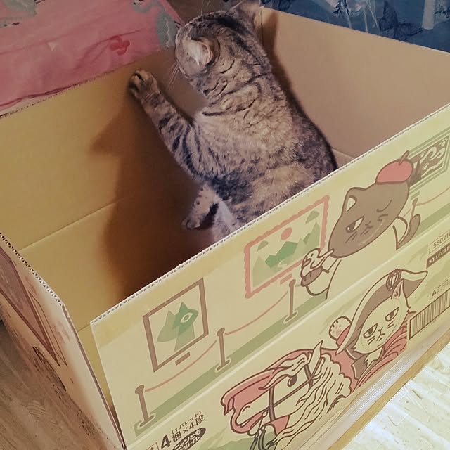 runaさんの部屋