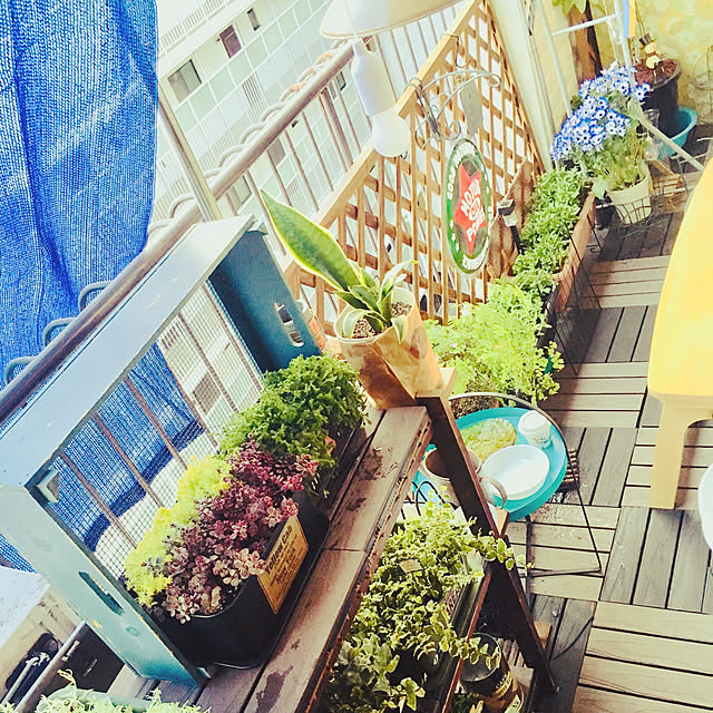remoza0310さんの実例写真