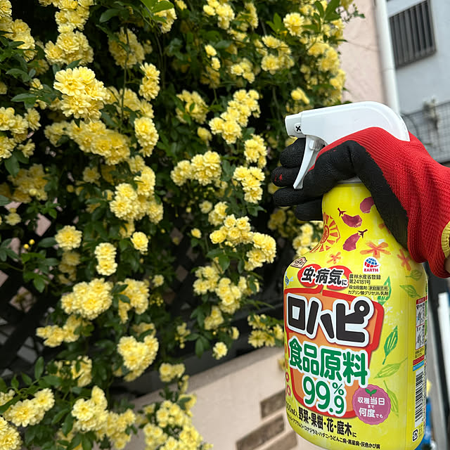 Megumiさんの部屋