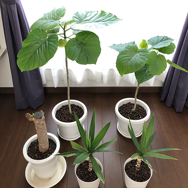 _sakumasikiさんの実例写真
