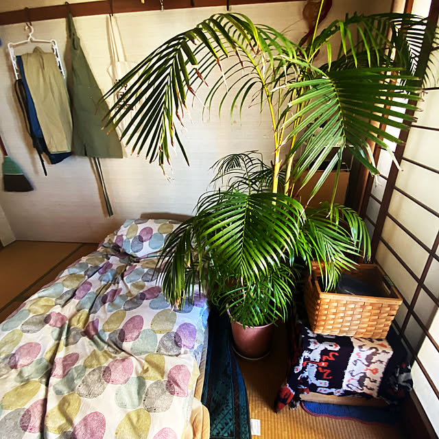 minakosanさんの実例写真