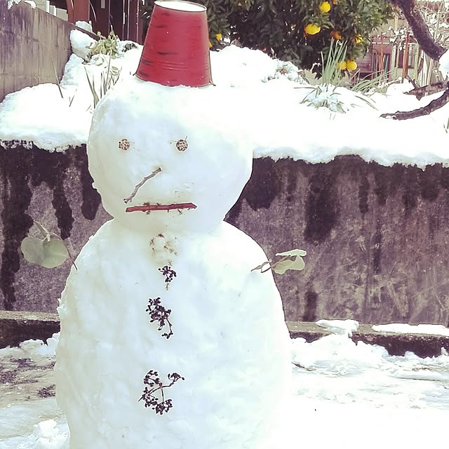 noesyunさんの実例写真