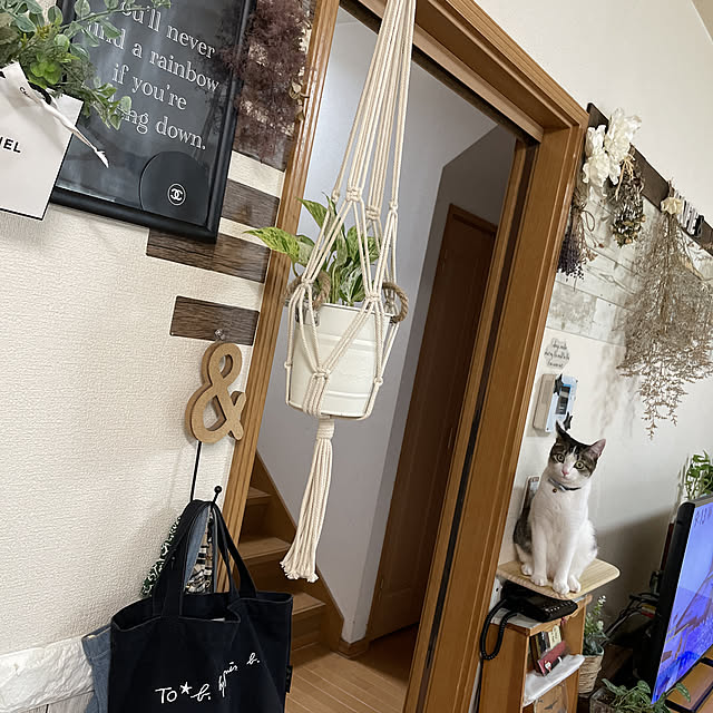 Akiさんの実例写真