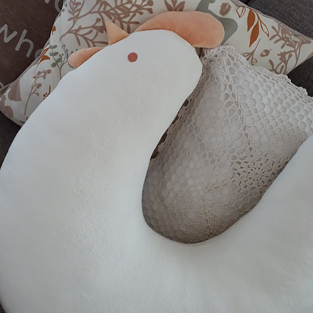 soft---peace---lifeさんの実例写真