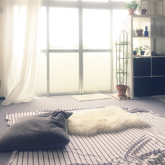 Onettoさんの実例写真