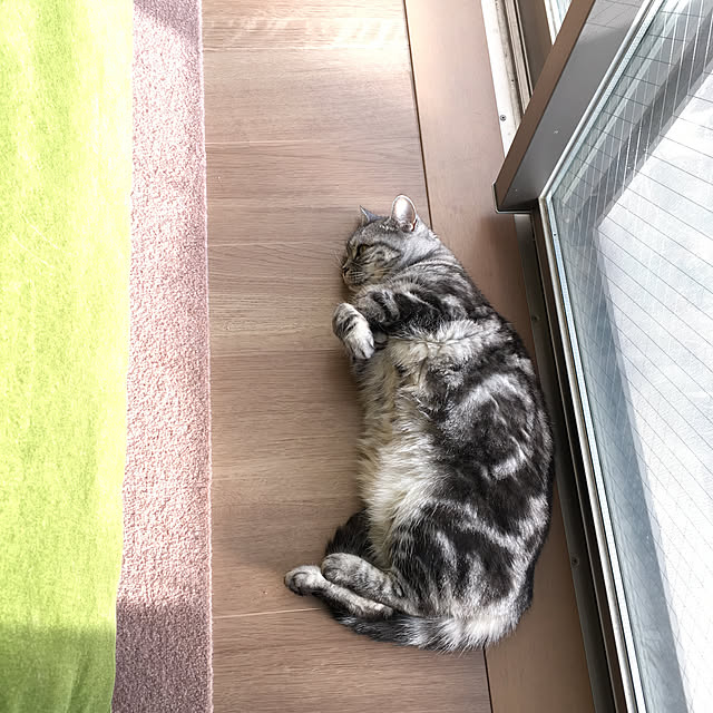 mikomaruさんの実例写真