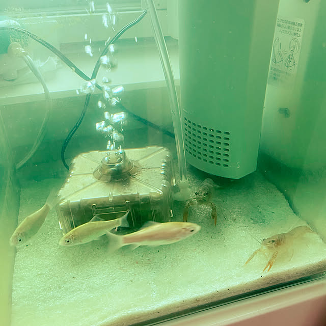 hansho.sさんの実例写真