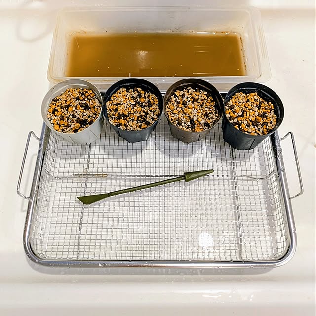 mi-saさんの部屋