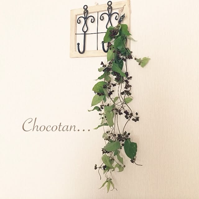 choco_tanさんの実例写真