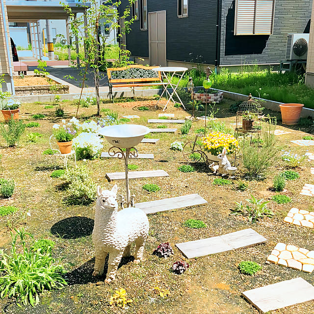 Pontaさんの実例写真