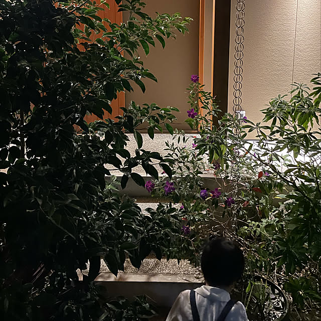 yuriireeenさんの実例写真