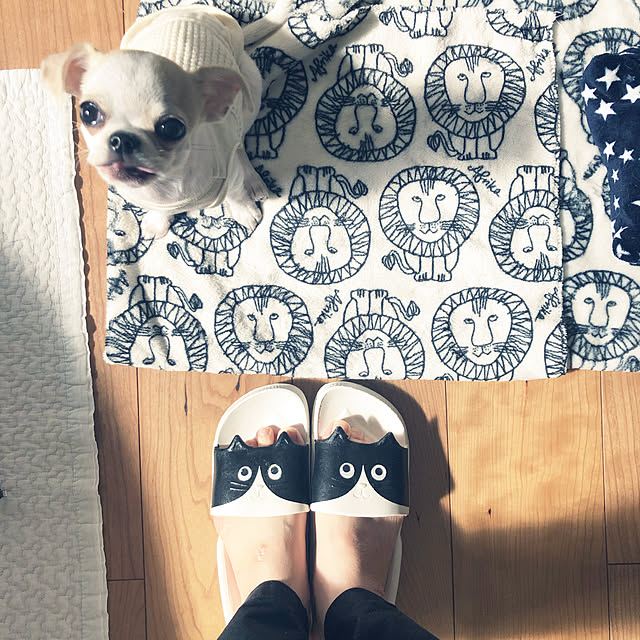 Emiさんの実例写真