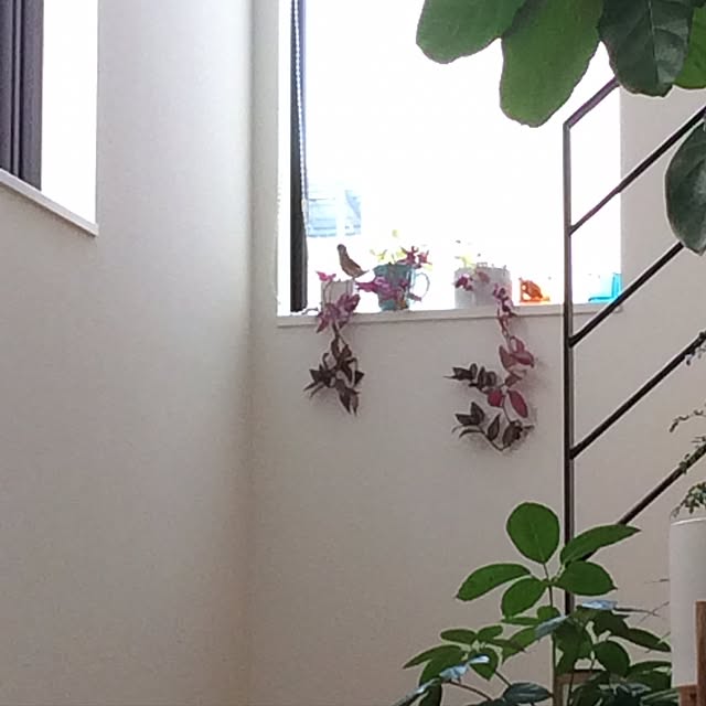 ooさんの実例写真