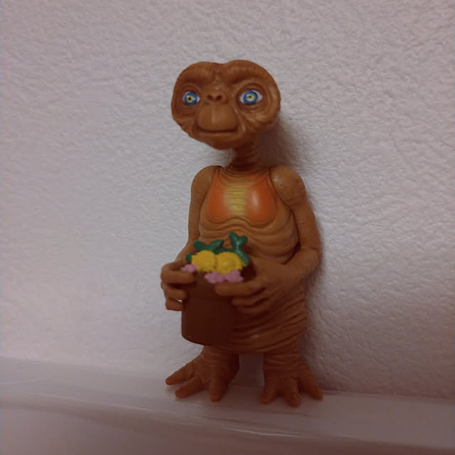 kasuさんの実例写真