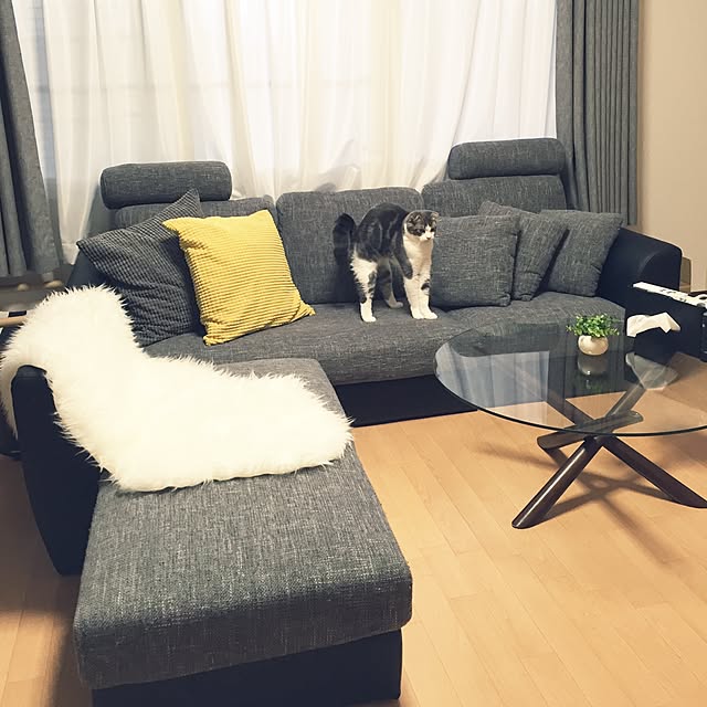 tansukeさんの実例写真