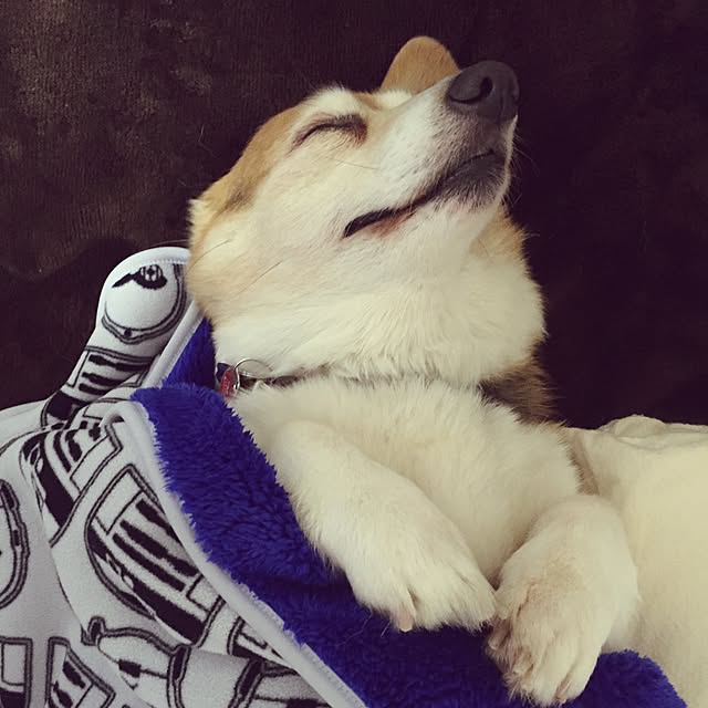 kumiさんの実例写真