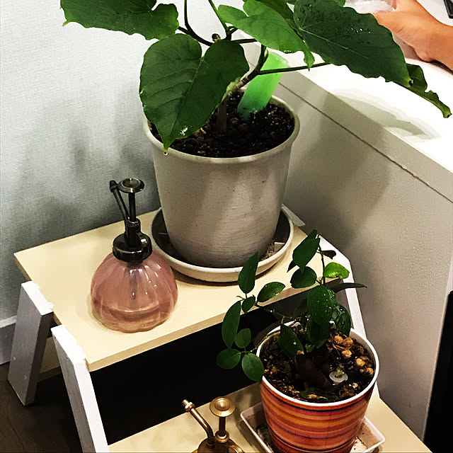 teretereさんの実例写真