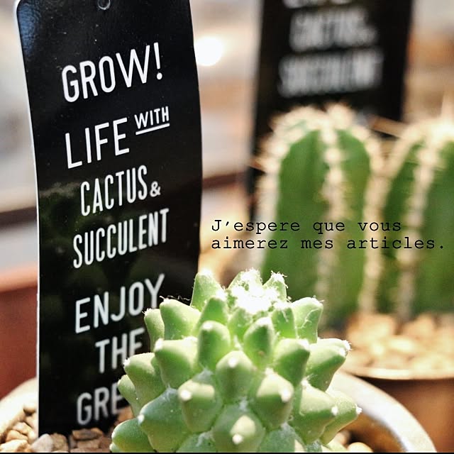 takimoto-manamiさんの実例写真