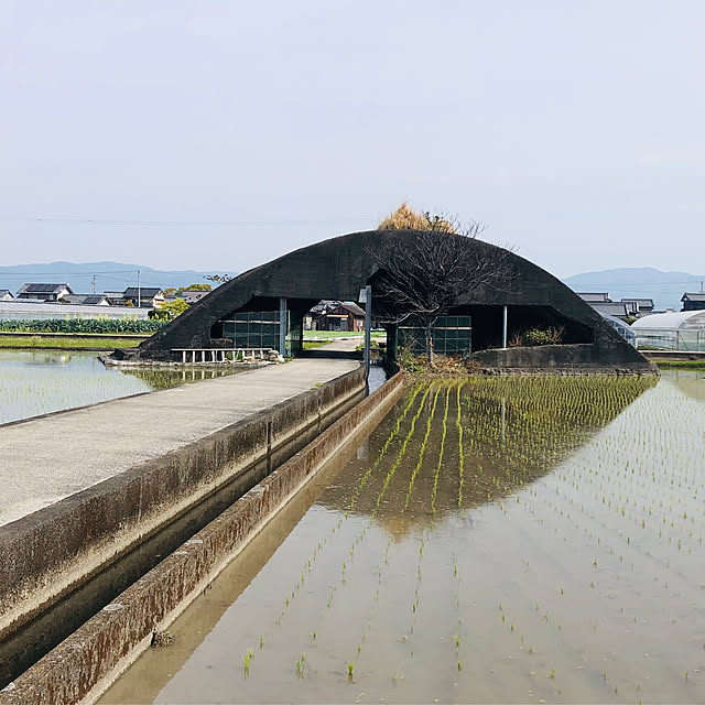 実例写真