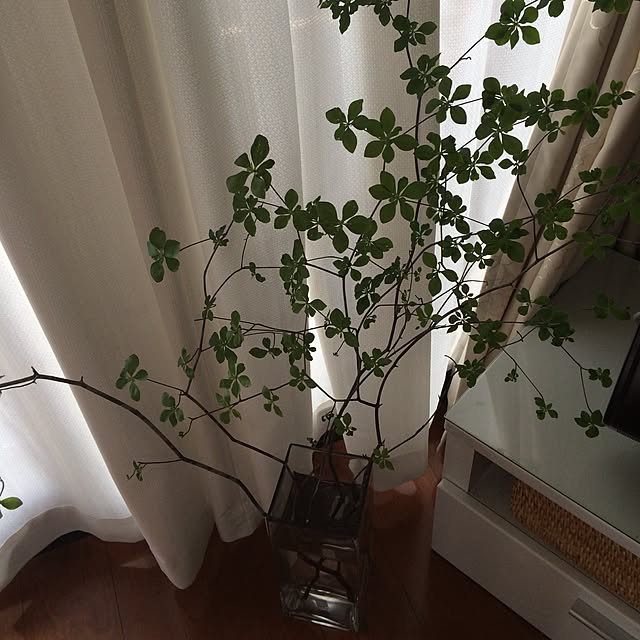 eriy0711さんの実例写真