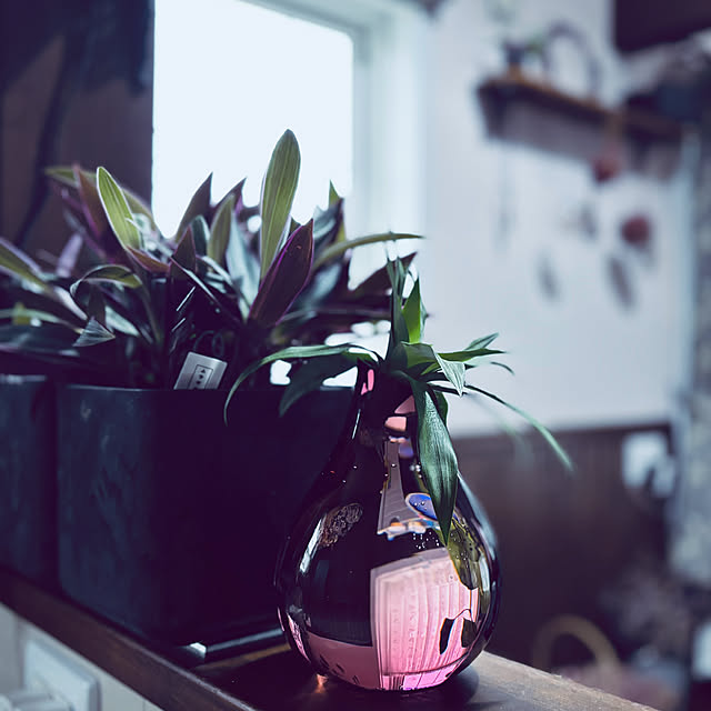 usagiさんの実例写真