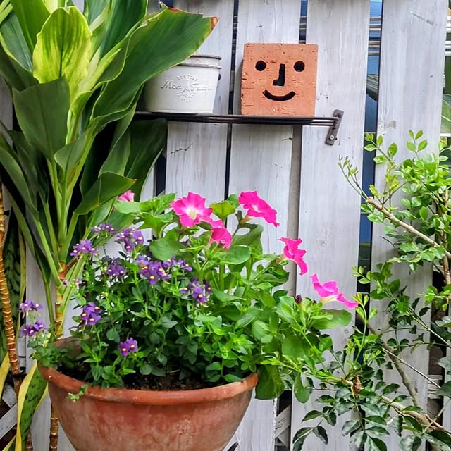 nikoさんの実例写真