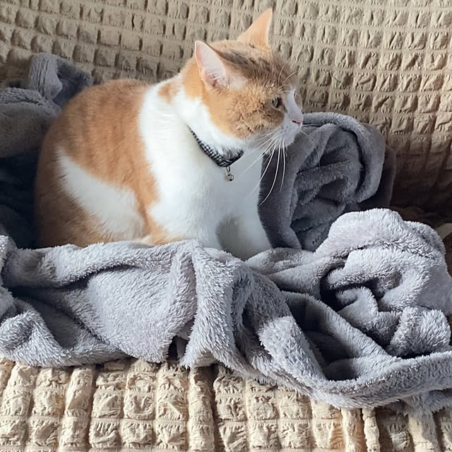 mintteaさんの部屋