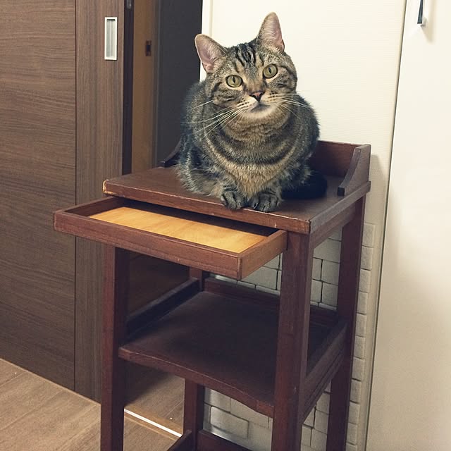 mikomaruさんの実例写真