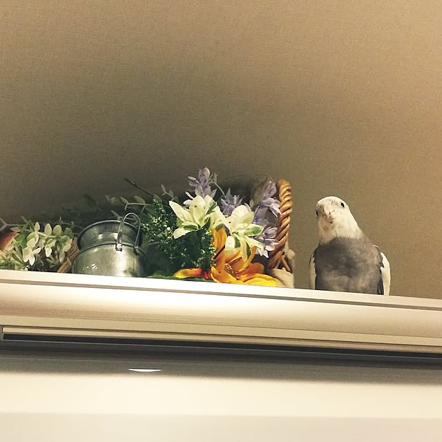 Annaさんの実例写真