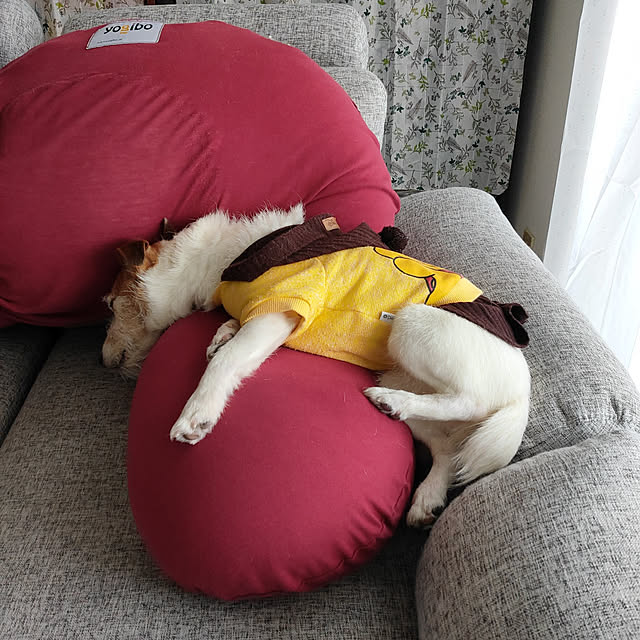 marosukeさんの実例写真