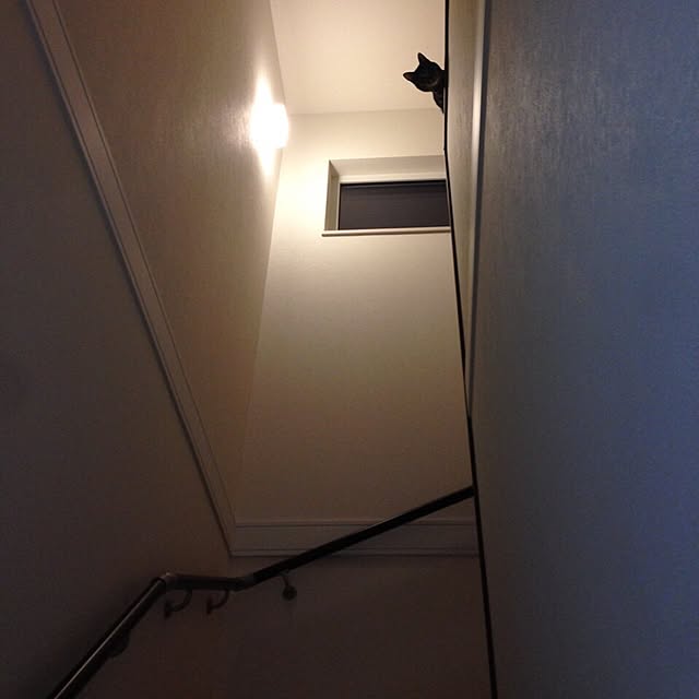 yoppeさんの実例写真