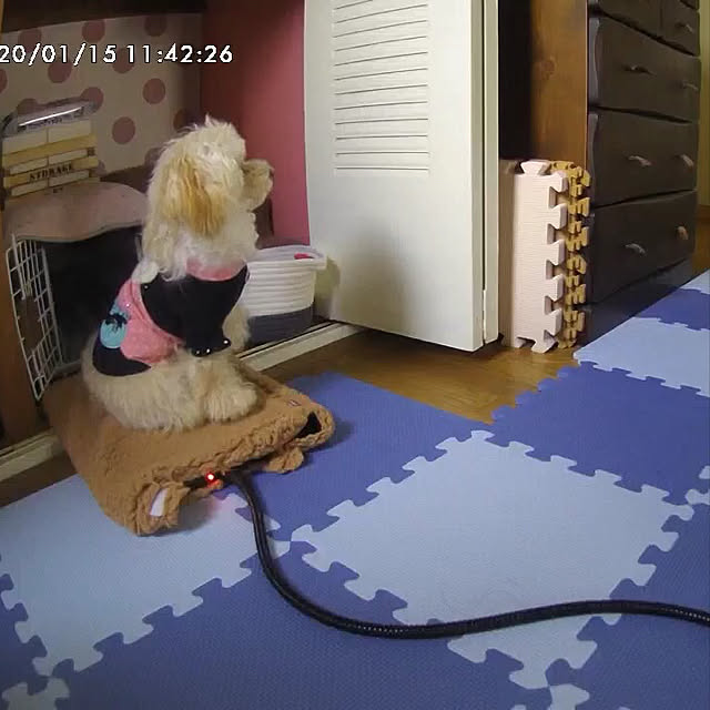 Southerncrossさんの実例写真