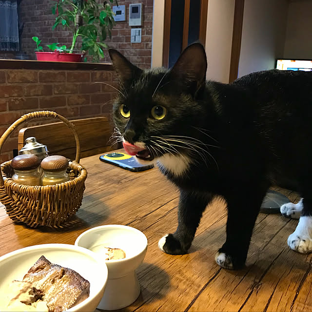 butachanさんの実例写真
