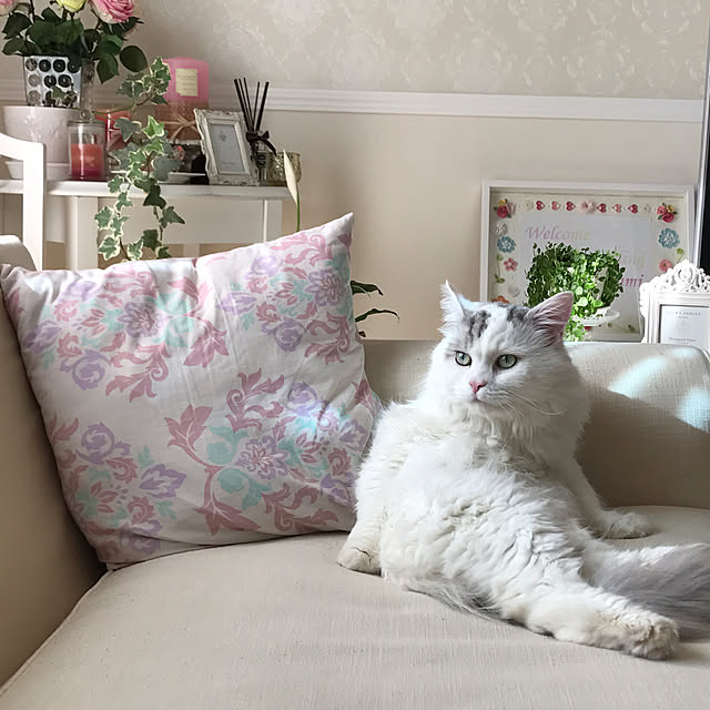 ru-tiaraさんの実例写真