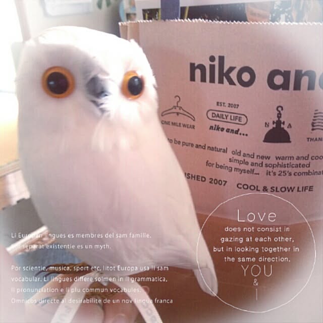 miharuさんの実例写真