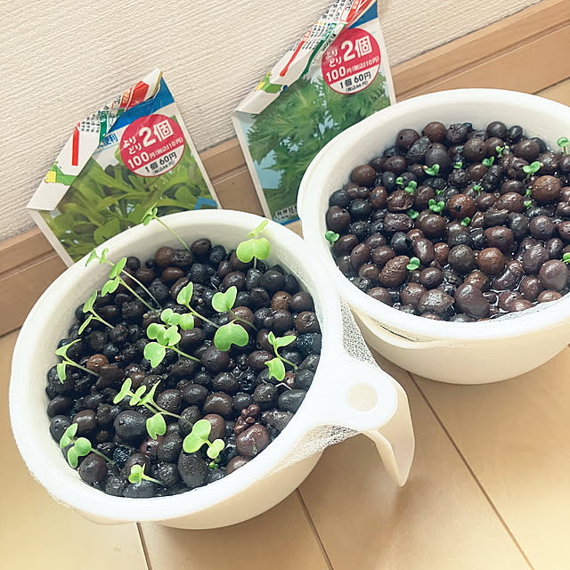keep_patienceさんの部屋