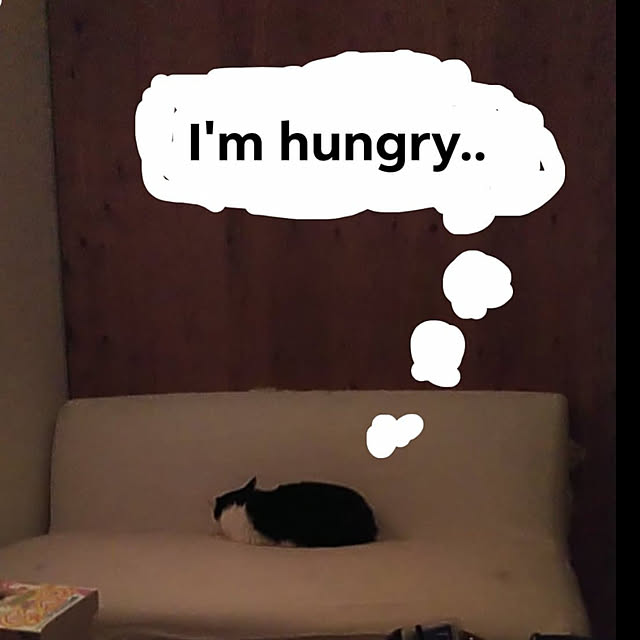 catloveさんの実例写真