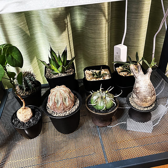 c.kさんの部屋