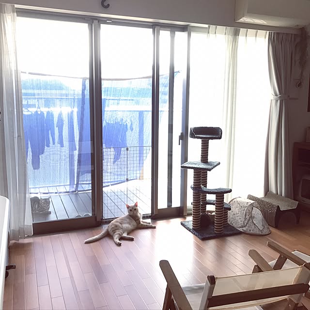 hiyupan88さんの実例写真