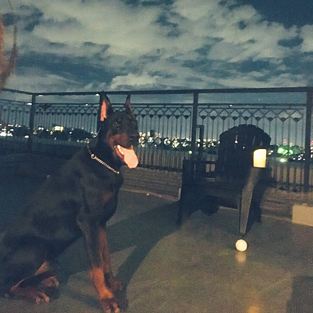 meco8さんの実例写真