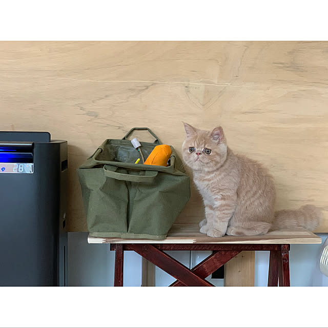 mii..さんの実例写真