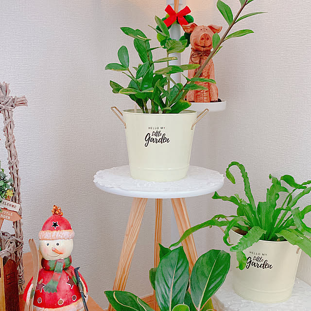 Hanakaさんの部屋