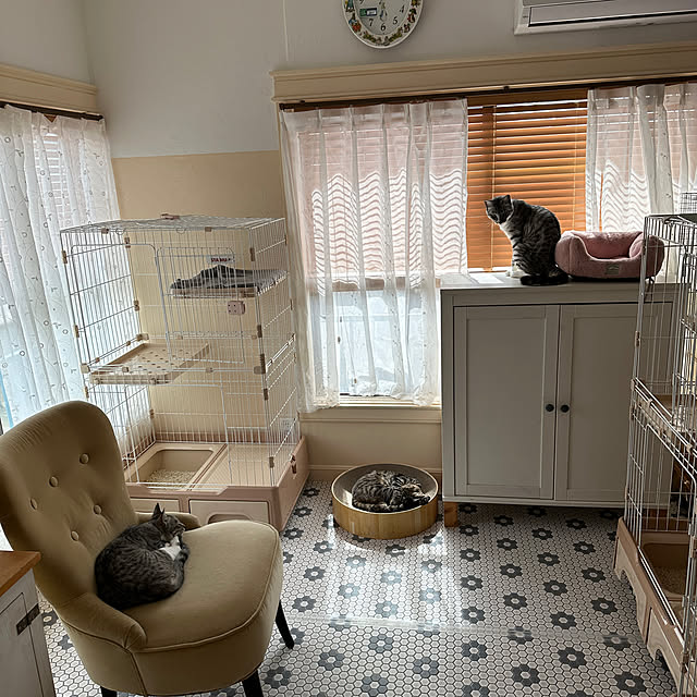 Nekogaoka_houseさんの部屋