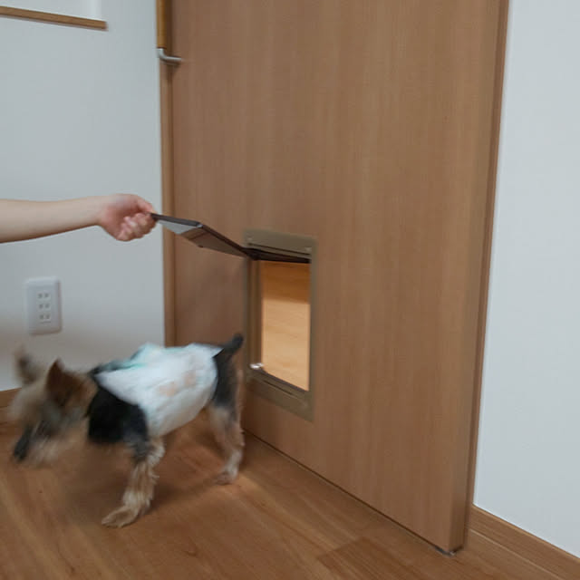sawakyoさんの実例写真